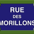 plaque rue des morillons objets trouves 20240222 0670