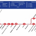 Ligne A schema de la ligne-modif2