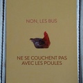 pub bus poules 001
