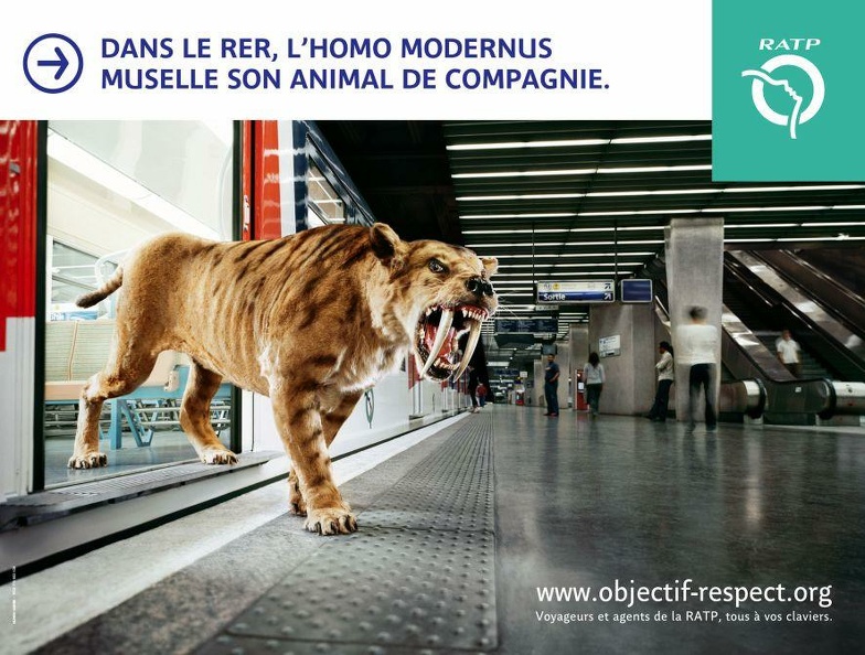 respect_tigre_sans_laisse.jpg