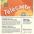 telecarte 120 call home B65172135653114925