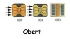 tc 1puce obert