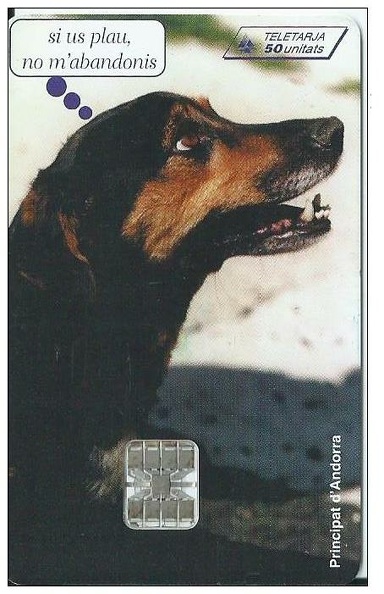telecarte 50 chien 720 001