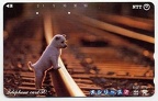 telecarte chien japon 046 001