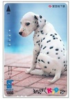 932 dalmatien japon 001