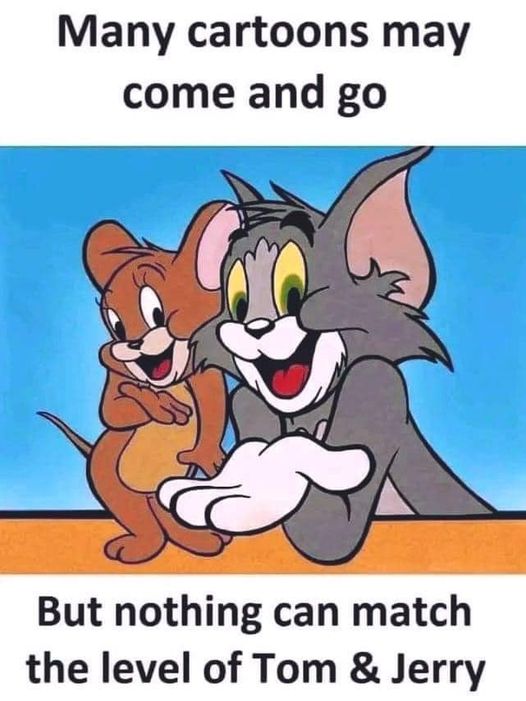 367729915 815550876948460 8979650036632373410 n