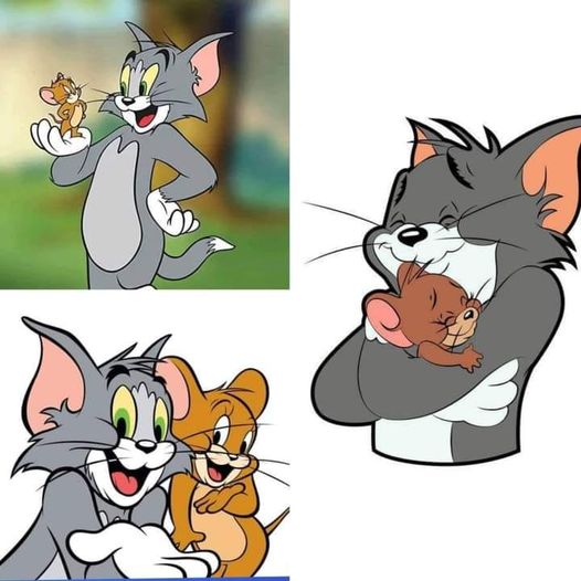 370167428 284725610948175 2946638676831343752 n