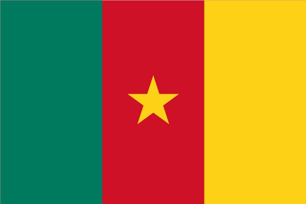 Flag_of_Cameroon.jpg