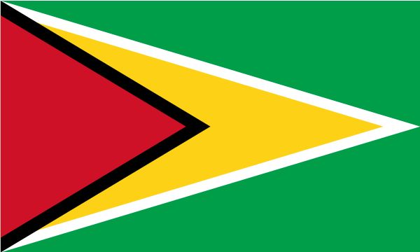 Flag_of_Guyana.jpg