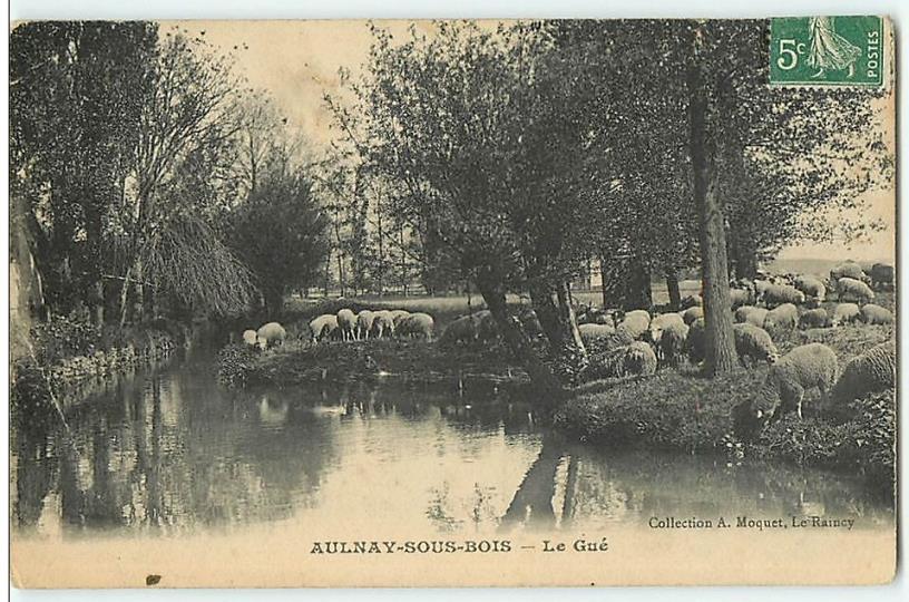 aulnay 850 moutons 766 007