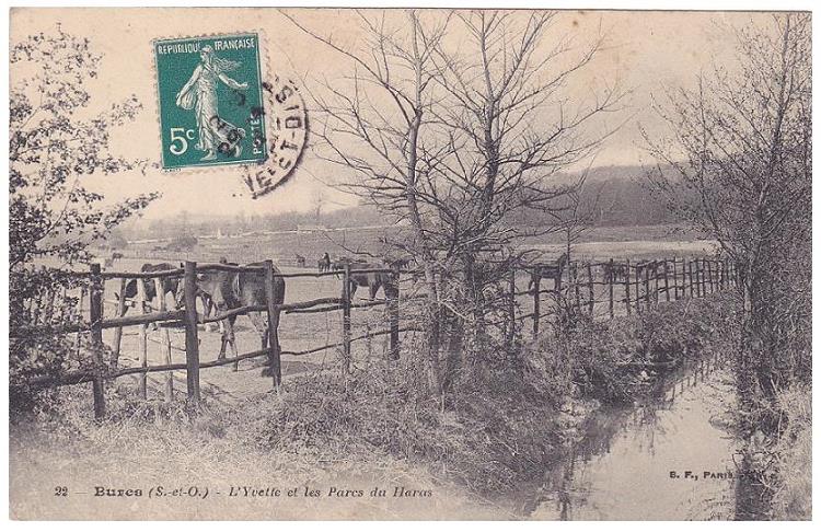 bures_375_006_ecuries_parc_du_haras_2.jpg