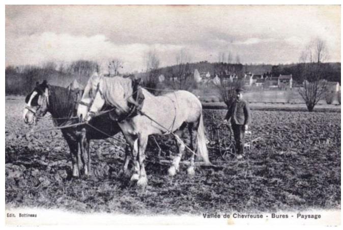 bures labourage champ chevaux annees 1900