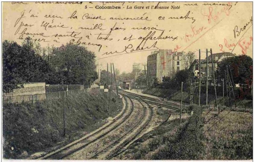 colombes 011 053