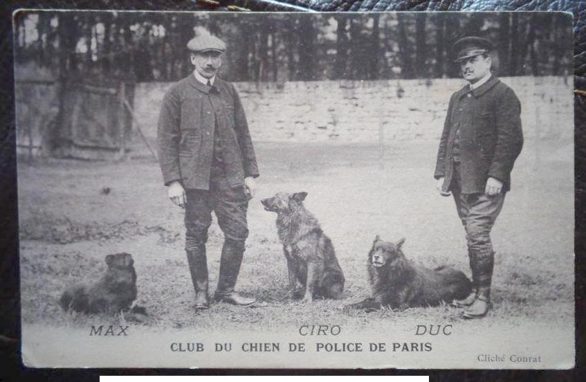 chiens police 587 001
