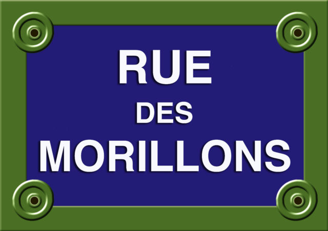 plaque_rue_des_morillons.jpg