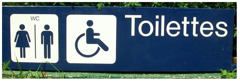 plaque toilettes annees 2000
