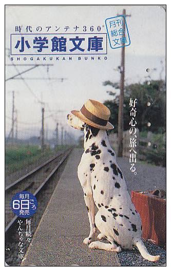 chien quai japon 749 001